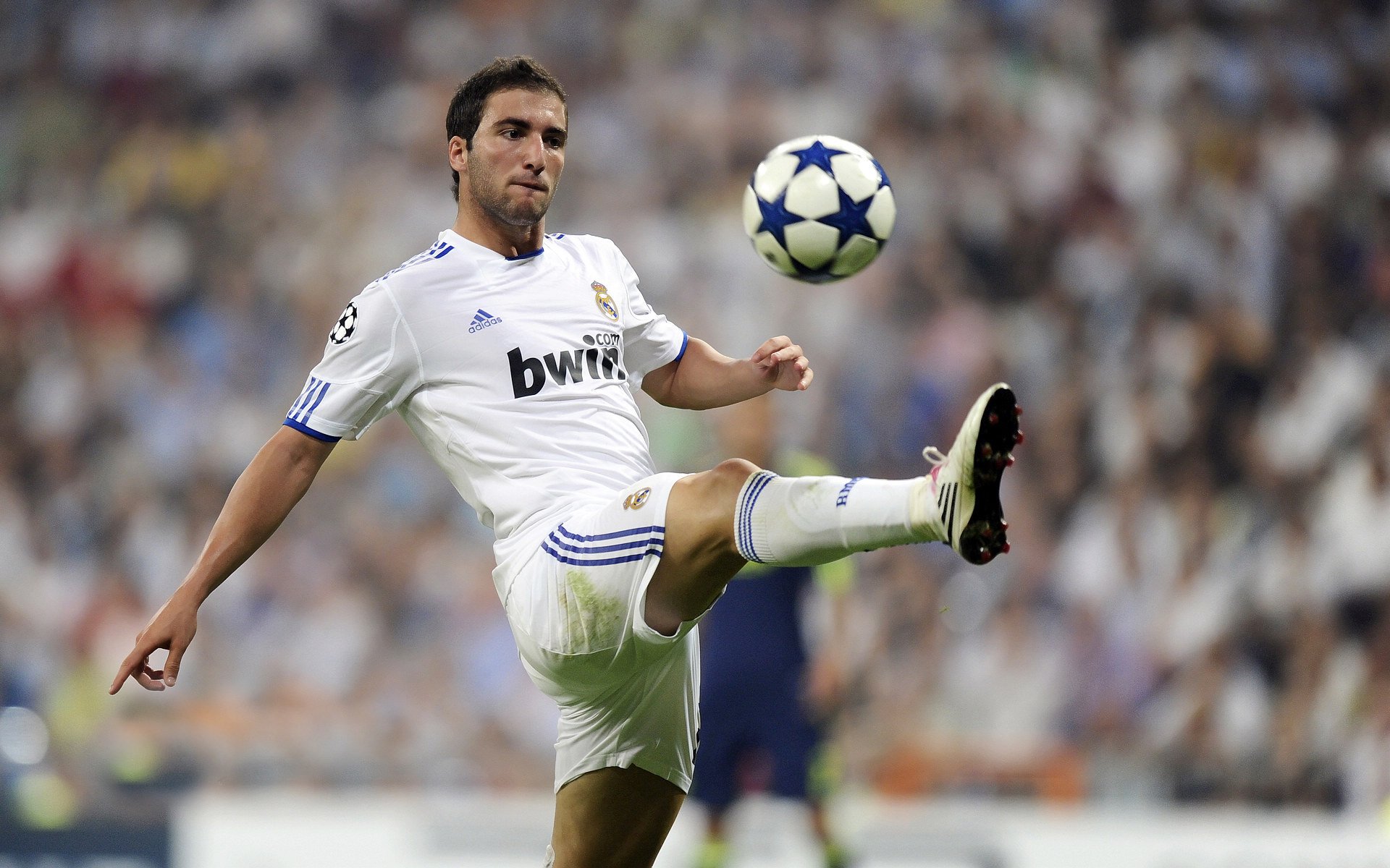 AYX官网-王氏足球培训营火币开课，提升小球员技术水平