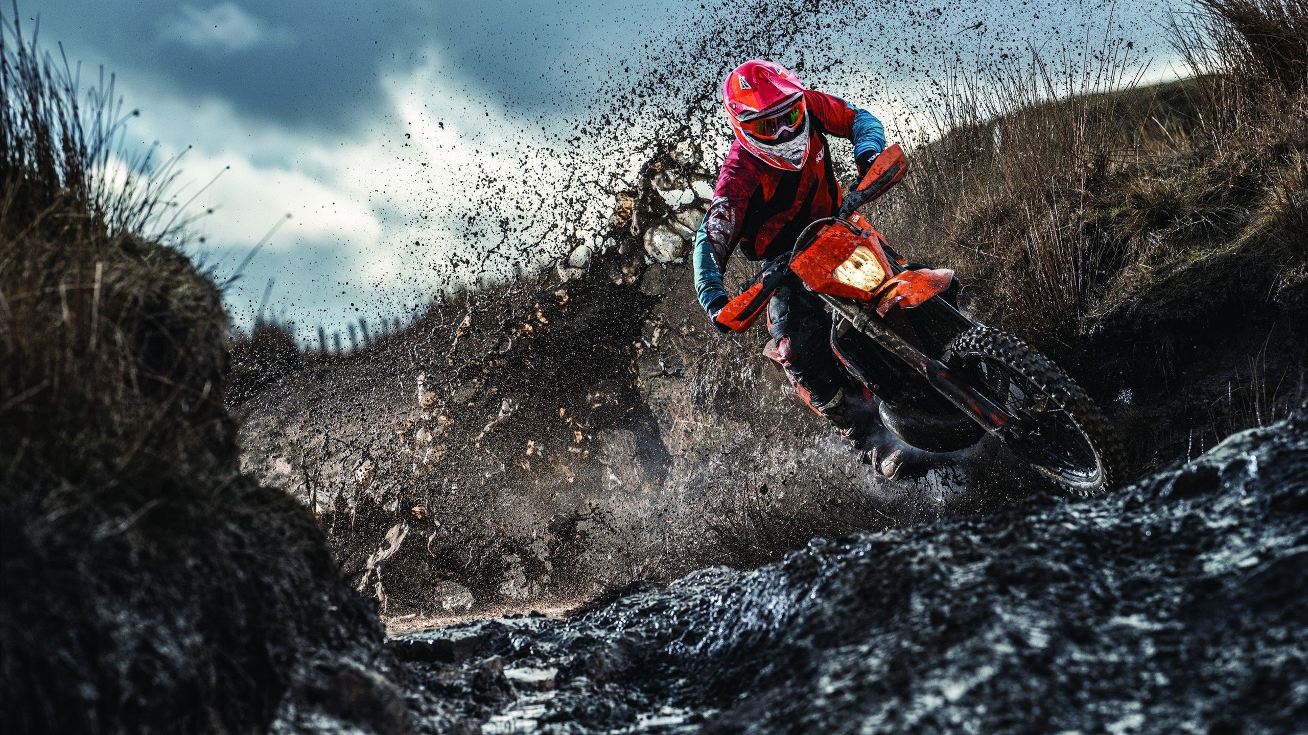 AYX GAME-绿色能源车队：环保科技助推冠军梦想，“绿色”能源